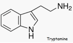trypatamine