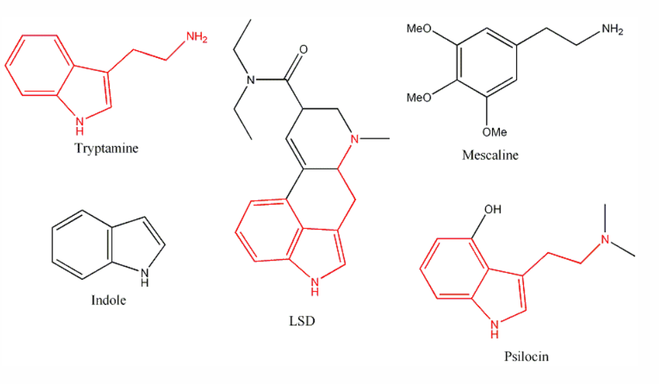 moleculaire structuren tryptamine